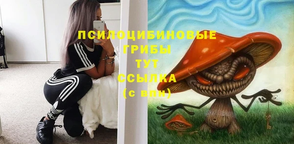 прущая мука Новозыбков